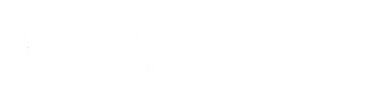kare healthcare llc